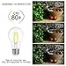 SHINE HAI A19 LED Vintage Filament Bulb, 4W (40W Equivalent), 5000K Daylight White, E26 Base, Omnidirectional, Pack of 18