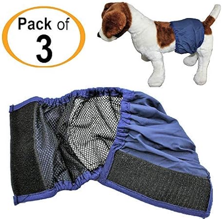 dog diaper band