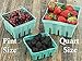 FMP Brands 44 Pack Quart Green Molded Pulp Fiber Berry Basket Produce Vented Container for Fruit and Vegetable, Farmer Market, Grocery Stores and Backyard Party