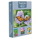 Pack of 12 Religious Thank You Cards, Boxed