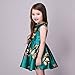 Kidscool Little Girls Sleeveless Yellow Rose Print Green Princess Dress