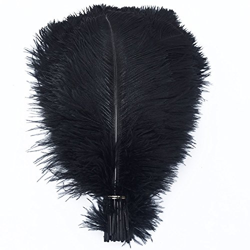 AABABUY Pack of 10,Naturl Ostrich Feathers 18-20inch (45-50cm) Plumes Wedding,Clothing,Party,Table Decoration,DIY (Black)