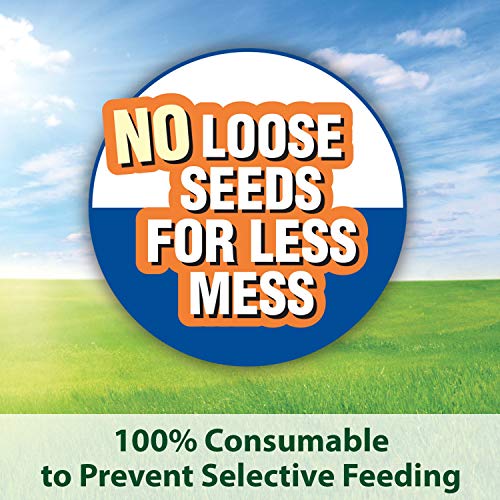 Kaytee Exact Rainbow Bird Food For Cockatiels, 25Pound Pricepulse