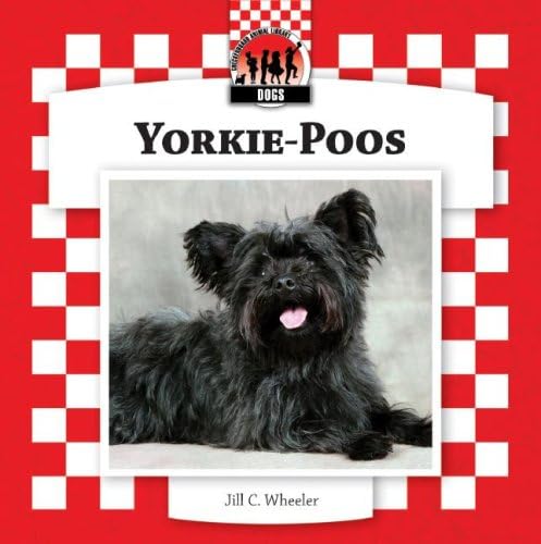 Yorkie-poos (Designer Dogs Set 7)