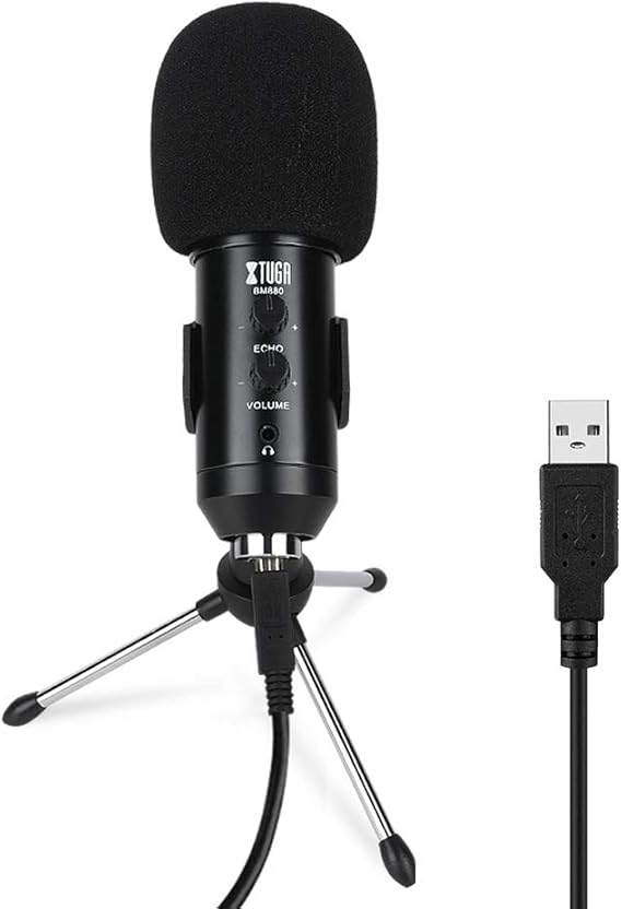 Microphone echo pc buttonaceto