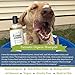 4-Legger Certified Organic Dog Shampoo - All Natural and Hypoallergenic with Aloe and Lemongrass, Soothing for Normal, Dry, Itchy or Allergy Sensitive Skin - Biodegradable - Made in USA - 16 oz