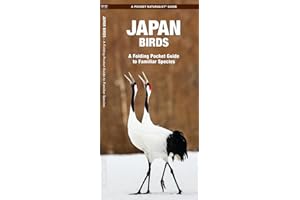 Japan Birds