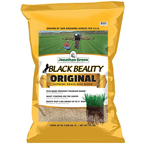Jonathan Green (10315) Black Beauty Original Grass Seed Blend Cool