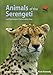 Animals of the Serengeti: And Ngorongoro Conservation Area (Wildlife Explorer Guides)
