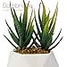 Bornbridge Artificial Succulent - Fake Succulent in Planter - Faux Succulent with Ceramic Geometric Planter - Artificial Potted Plant (1 Pack, Aloe)