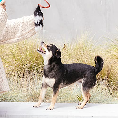 Outward Hound Tail Teaser Replacement Lure for Dog Teaser Wand