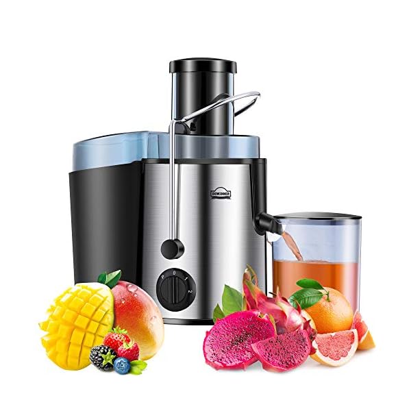 Juicer Machine,DEWINNER Stainless Steel Fruit and Vegetable Juice Extractor Fountain Cold Maker, Centrifugal Fountain with 2 Speed Settings, BPA-Free, Easy Clean Dishwasher Safe with Gift