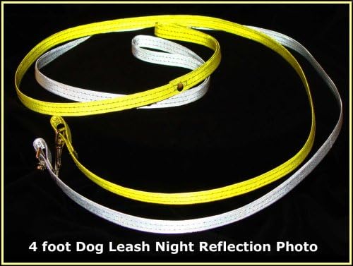 Vedante Super Reflective 4-Foot Dog Leash