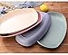 greenandlife Lightweight Wheat Straw Plates - 4Pack Unbreakable Dishes and Plates Sets Non-toxin, Dishwasher & Microwave Safe BPA free and Healthy for Kids Adults (11'')