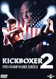 Kickboxer 2: The Road Back poster thumbnail 