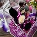 Clear Cosmetic Brush Organizer,Acrylic Brush Holder with Lid,Dust-proof Makeup Brush Holder with Free Rosy Pearls for Vanity Counter-top - NEWCREA