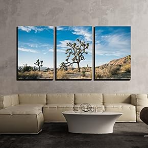 Beautiful Desert Landscape x3 Panels