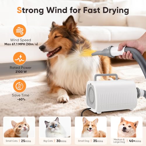 Asciugacapelli per Cani, Potente soffiatore per cani con Velocità e Temperatura Regolabili, 3 Ugelli, Tubo Flessibile, Schermo LCD, Asciugatore per Cani e Gatti di Tutte le Taglie