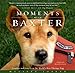 Moments With Baxter: Comfort and Love from the World's Best Therapy Dog by Melissa Joseph