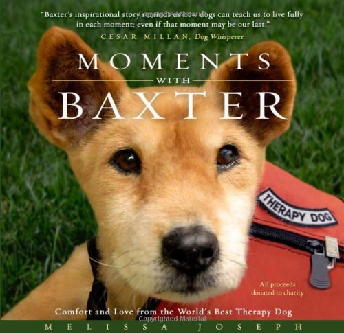 Moments With Baxter: Comfort and Love from the World's Best Therapy Dog by Melissa Joseph