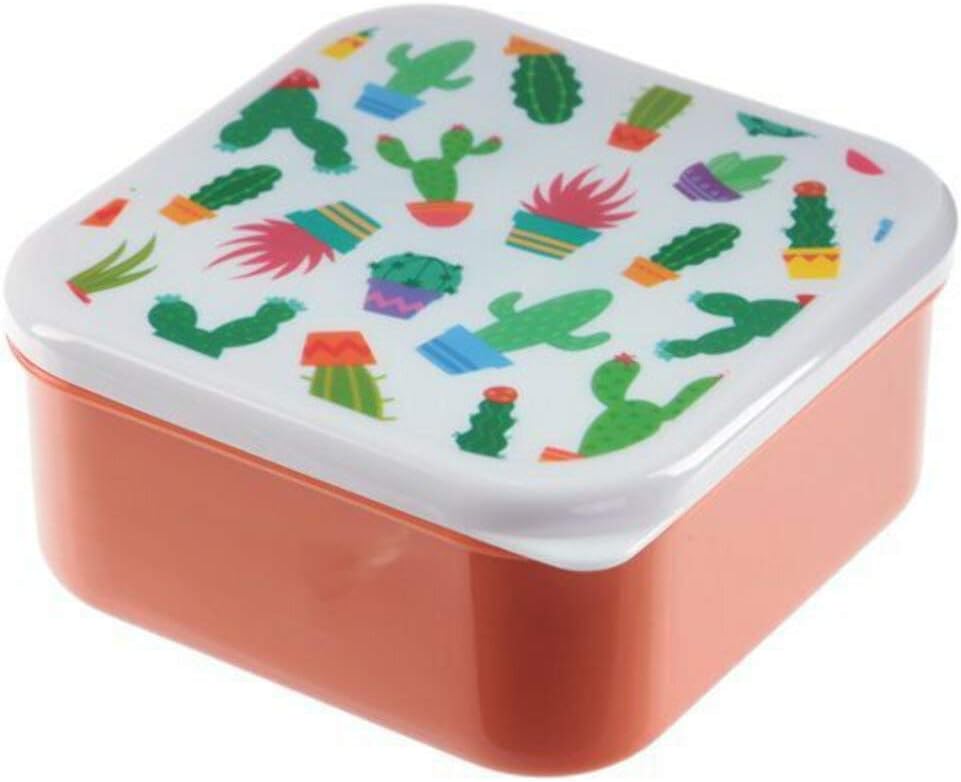 Puckator Cactus Set of 3 Food Containers, Orange/Green/Purple - Image 5