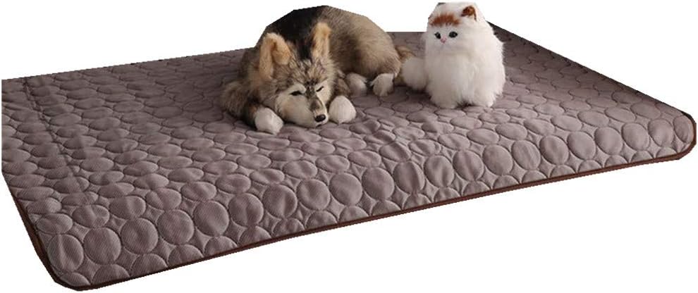 tamponi di raffreddamento per gatti