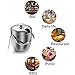 Insulated Ice Bucket,Stainless Steel Double Wall Ice Bucket with Lid and Tongs,2.8-Litre,Silver