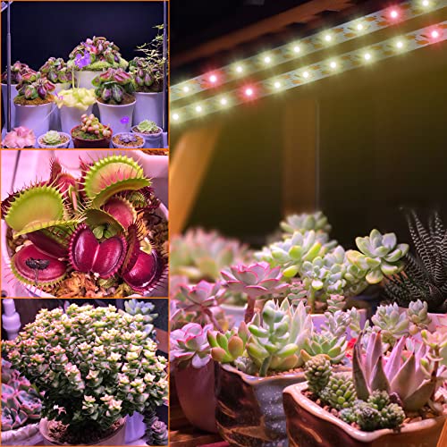 Grow Light Strip，Full Spectrum Grow Lights for Indoor Plants ，with Auto ON / Off Timer，with White Red 120 LEDs / 10 Dimmable Levels，Sunlike Grow Lamp for Hydroponics Succulent（6.56FT）