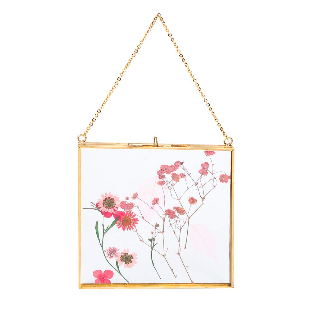 Wall Hanging Glass Frames for Pressed Flowers & Photos - Floating Frame (16x16cm)