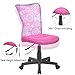 EuroStile Adjustable Kids Desk Chair Mid-Back Ergonomic Mesh Swivel Computer Office Desk Task Chair 8007FL