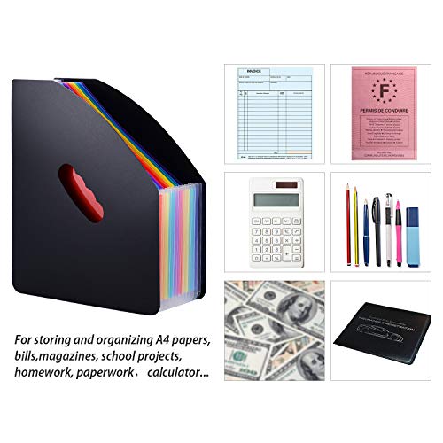 UBAYMAX A4 Expanding Document File Folder, 12 Pockets Wallet with Elastic Fastener File Organiser Paper Divider, Concertina File Accordion Folder Storage Filing for Office School (Black)