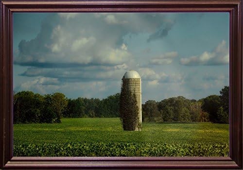 Frame USA Country Beacon-JAIJOH140020 Print 13.25"x20" by Jai Johnson in a Cherry Grande