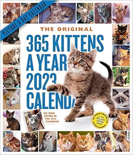 Calendar 365 Com 2023 365 Kittens-A-Year Picture-A-Day Wall Calendar 2023: Amazon.co.uk: Workman  Calendars: 9781523515837: Books