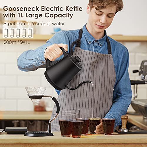Gooseneck Electric Kettle with 6 Various Temperature Control, 100