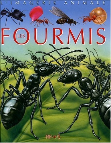 Les  fourmis