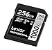 Lexar Professional 1000x 256GB SDXC UHS-II Card