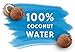 Otter Pops 100% Coconut Water Sorbet Ice Pops - Made from Coconut Water - New Tropical Flavors Include Fruit Punch, Pineapple, Coconut and Mango (1 Box of 6 Ice Pops)