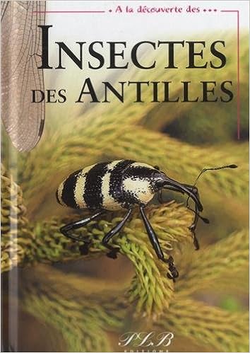 Amazon Fr Insectes Des Antilles Francaises Meurgey Francois Guezennec Pierre Guezennec Claudine Livres