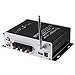 Robolife USB Kentiger V10 Bluetooth Hi-Fi Stereo Super Bass Audio Power Amplifier with Remote Control, Without Power Cord