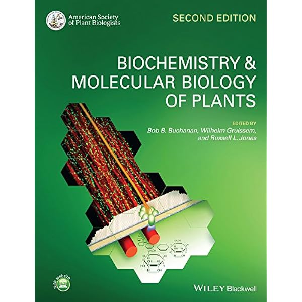 洋書 BIOCHEMISTRY Biochemistry, Fifth Edition: International Version