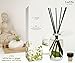 LOVSPA Reed Diffuser Set, Zen White Tea & Ginger Scented Oil Diffuser with Sticks, Home Fragrance Accessories for Bathroom Shelf Decor, Aroma Diffusers for Home or Office Desk, USA Made