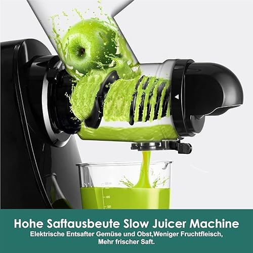 Slow Juicer Entsafter Gemüse und Obst Testsieger 200W, Schwarz