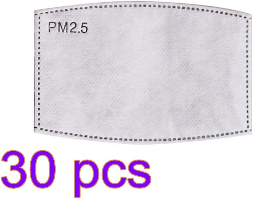30PCS Desposable PM2.5 Mask Filter Cartridge, Anti Haze Dust Proof Square Arc Active Carbon Filter for PM2.5 Mask Filter