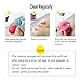 Makeup Sponges, Teenitor Makeup Blender Beauty Sponge Foundation Blending Sponge Flawless for Liquid Creams Powders Multi-color Random 8pcs(4+4)