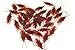 Bilipala Fake Cockroach Novelty Roaches Bugs Realistic Insects, Pack of 50