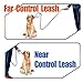 FOCUSPET Heavy Duty Leather Dog Leash with 2 Handles,Padded Traffic Handle for Extra Control,6Ft Dog Training Walking Leashes for Medium Large Dogs
