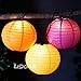 LIDORE 8 Pack Assorted Different Multi Color Chinese Paper Lanterns Lamps 8 Inch