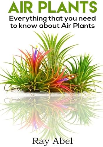Download Air Plants: All you need to know about Air Plants in a single book! PDF
