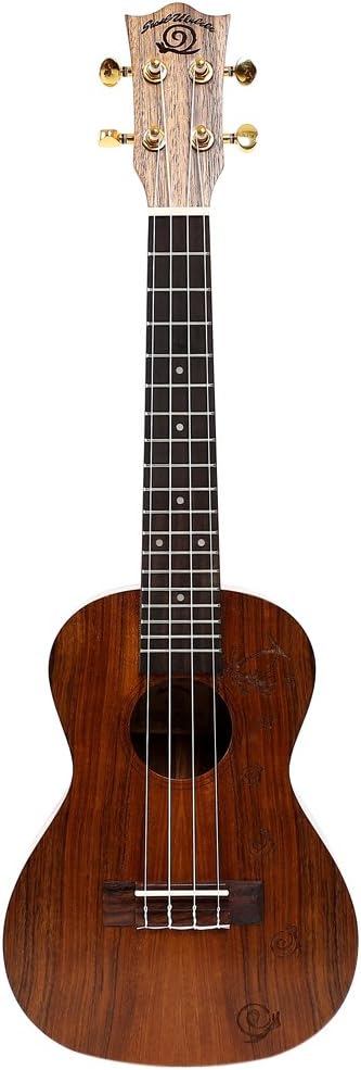 Snail Ukulele beginner small guitar instrument to send a full set of accessories UKC-486