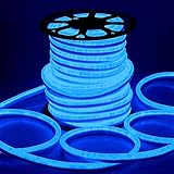 DELight 150ft 110V Blue Flexible LED Neon Rope Light Indoor Outdoor Holiday Valentines Party Decor Lighting